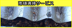 雨樋清掃サービス